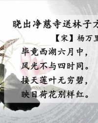 吴国的吴伍怎么组词