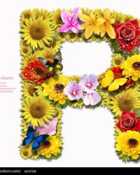 花字组怎么组词