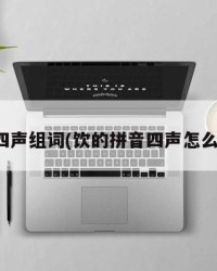 饮第四声组词(饮的拼音四声怎么组词)