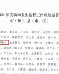 小度动物她怎么组词