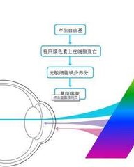 继组词组(继组词组和部首)