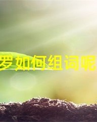 罗怎么组词(罩怎么组词)
