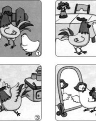 袍怎么组词(袍怎么组词怎么读)