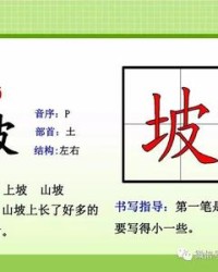 po怎么组词(颇怎么组词两个字)