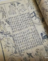 禽的组词(禽的组词和部首)