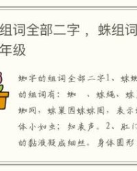 蛛字怎么组词(蛛字怎么组词一年级)