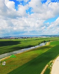 朴怎么组词语(朴怎么组词语)