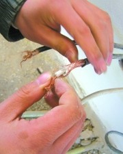 循怎么组词(循怎么组词语两个字)