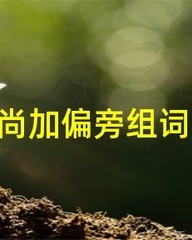 尚加偏旁组词(尊加偏旁组词)