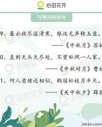 每天都美的组词怎么写