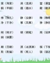 播的组词部首拼音怎么写