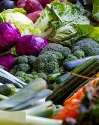 蔬菜可以怎么组词视频