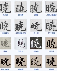 淑字组词(淑字怎么组词好听温柔)