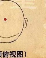 头顶顶怎么组词