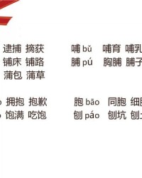 胆怎么组词答案