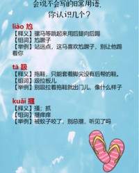 骤的组词(骤的组词和拼音和部首)