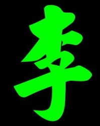 李字怎么组词语