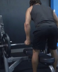 类怎么组词(类怎么组词造句)