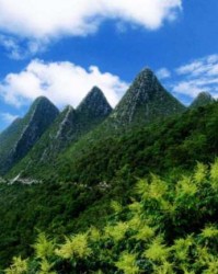 岭的的组词(岭的组词怎么组词)