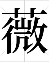 薇的组词(薇的组词怎么写)