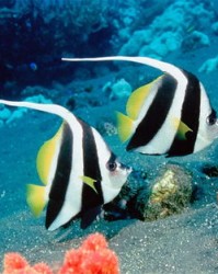 海底的海字怎么组词啊