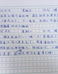 观察日记可以怎么组词啊