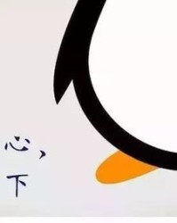 小度的企鹅怎么组词呀