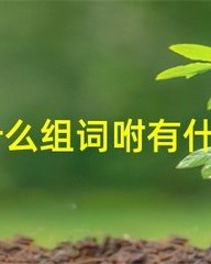 咐字怎么组词(咐字怎么组词是什么)