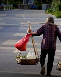 睹字怎么组词(睹字怎么组词和拼音)