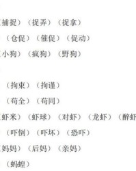 没有偏旁的宣怎么组词