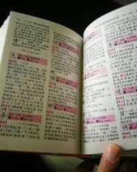 组词词典(组词词典怎么查)