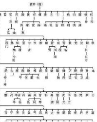 追寻的荀怎么组词