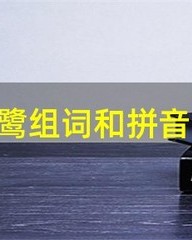 鹭怎么组词(鹭怎么组词组)