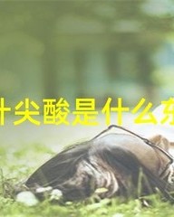 亭怎么组词(亭怎么组词怎么读)