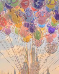 星黛露的露怎么组词