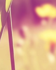 啦字多音字组词(啦字多音字组词怎么组)