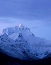 仑怎么组词(由的多音字组词)