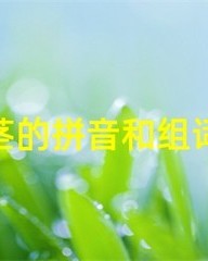 茎的组词和拼音(茎的组词和拼音还有部首)