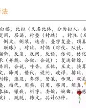 头颅怎么读组词造句