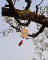 倒影怎么组词倒影的映