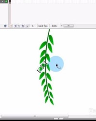 小布柳叶的柳怎么组词