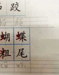 昂换偏旁组词(昂换偏旁组新字)