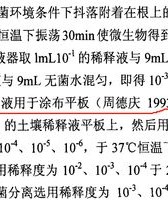 树根的根根怎么组词