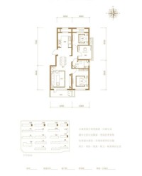 小度抢先的抢怎么组词