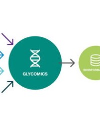 型的组词(型的组词和部首)
