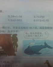 竖式计算的树怎么组词