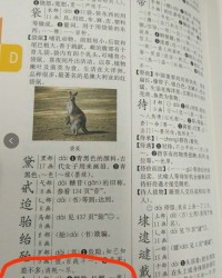 这个头怎么组词