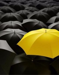 黄伞的伞怎么组词