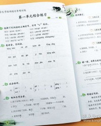 鲁组词造句的拼音怎么写