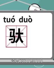 驮字怎么组词(驮的组词和读音)